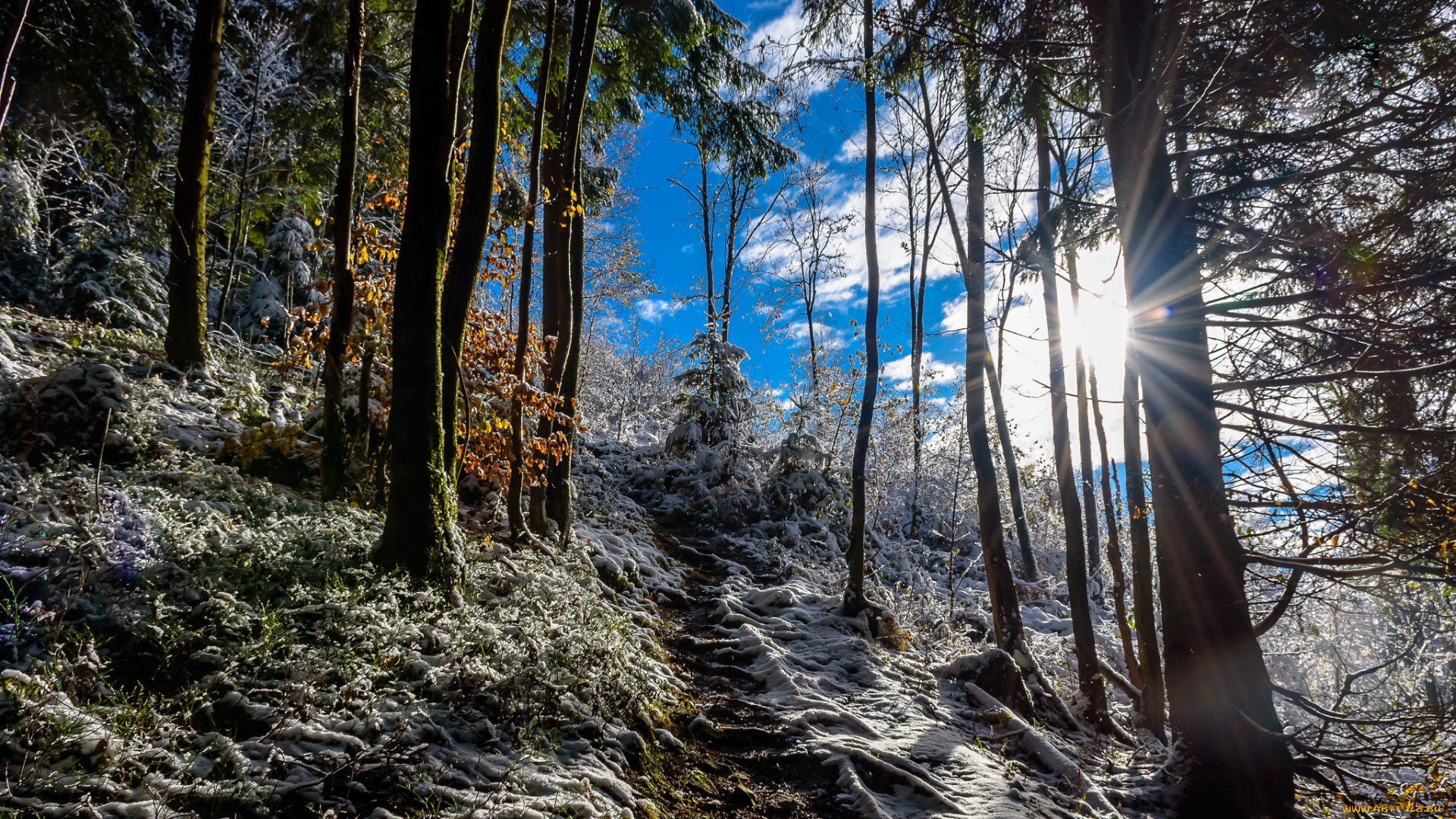 природа, зима, снег