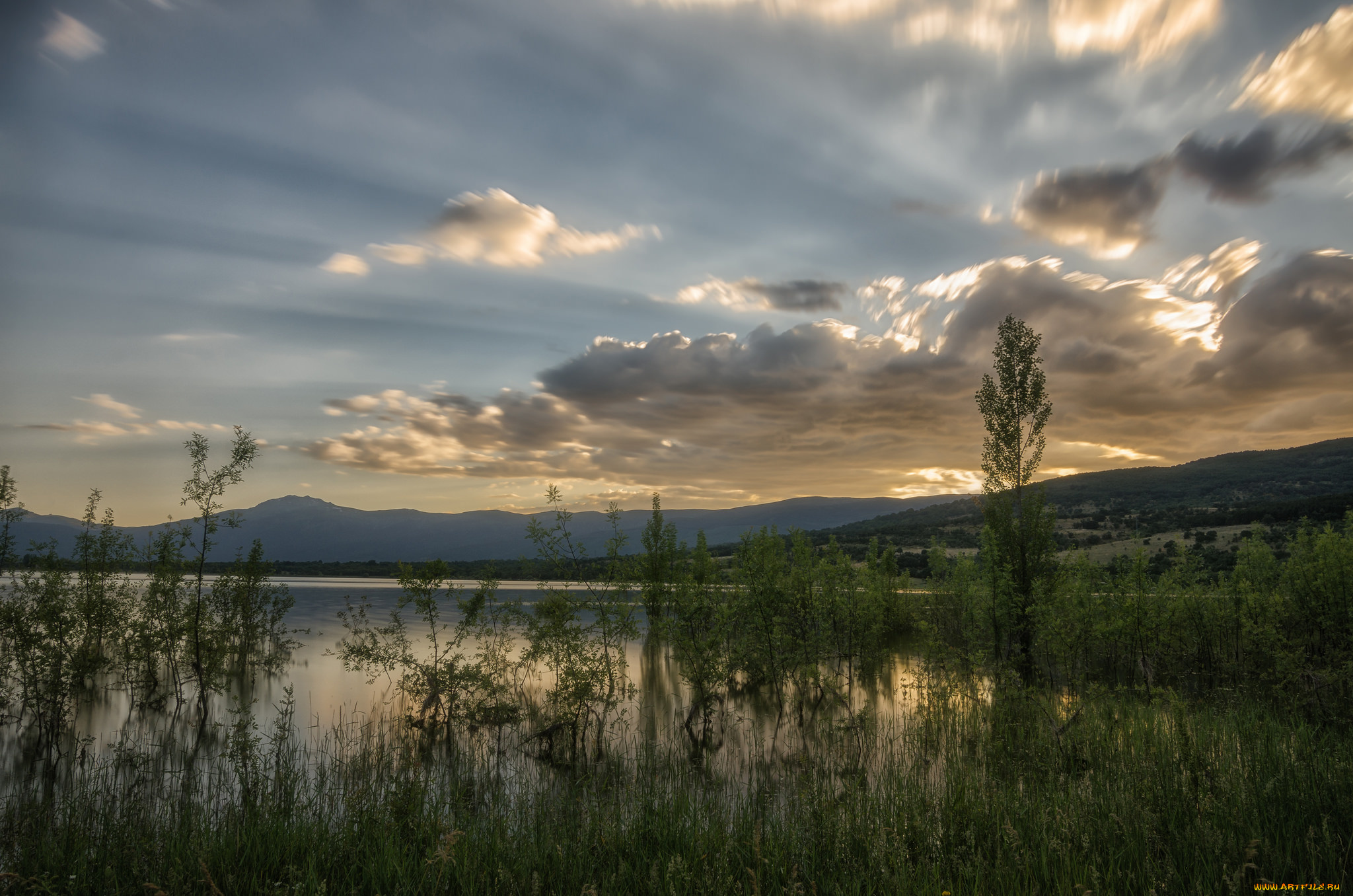 природа, реки, озера, река, лес