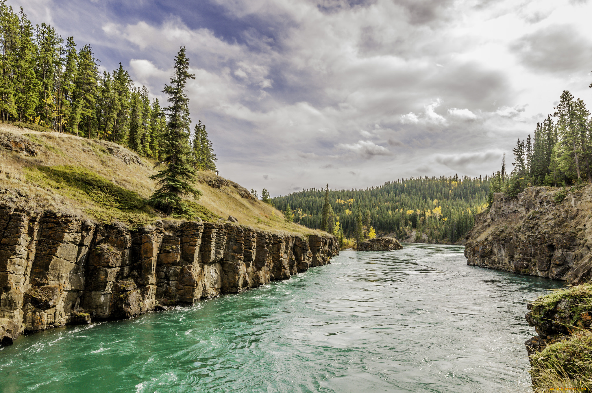 природа, реки, озера, лес, река