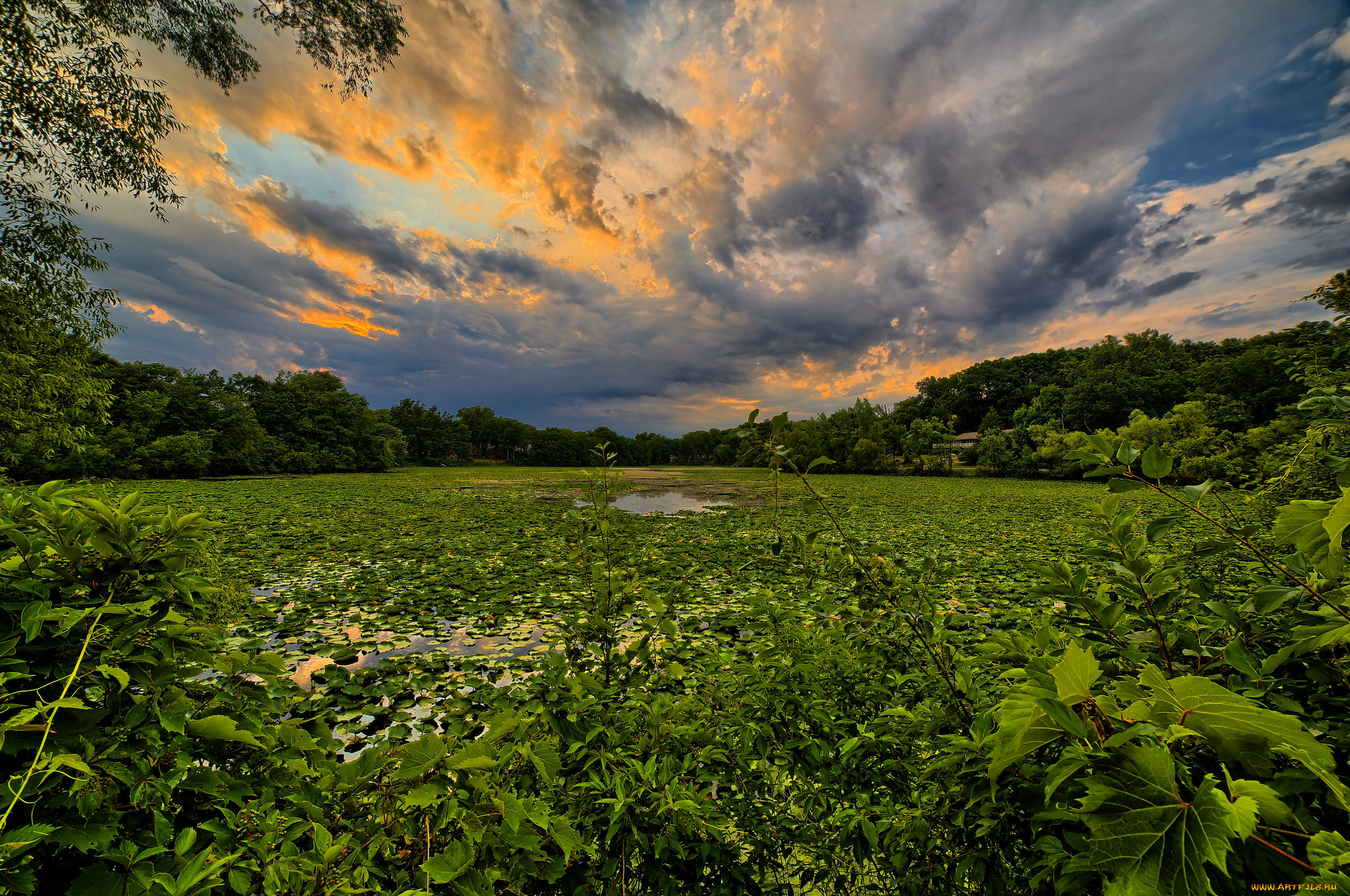 природа, реки, озера, река, лес