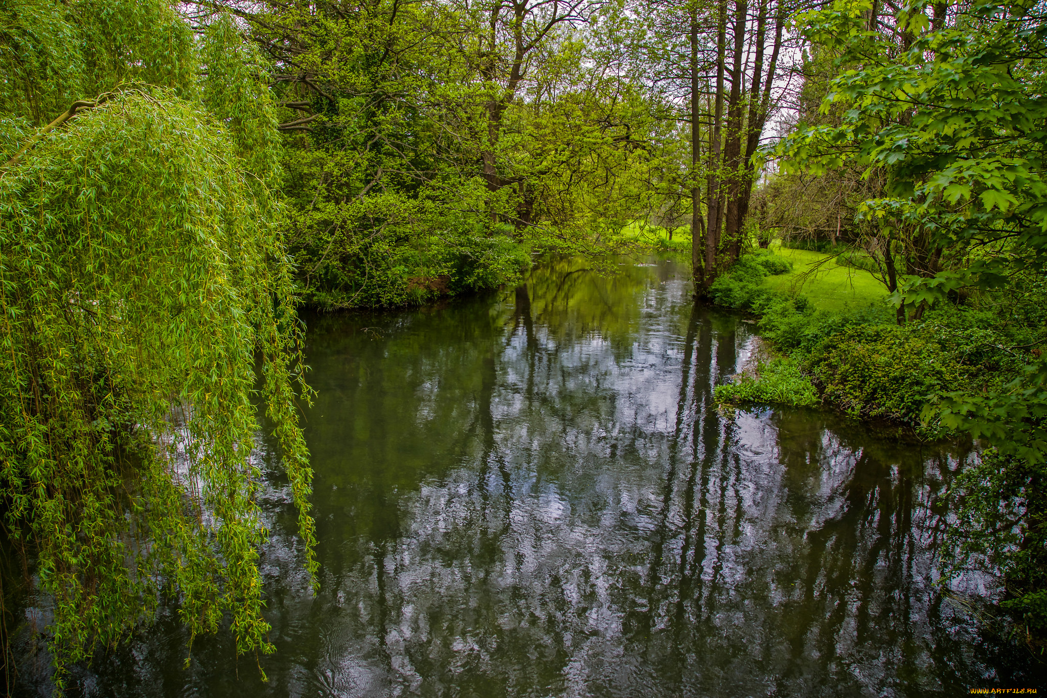 природа, реки, озера, лес, река