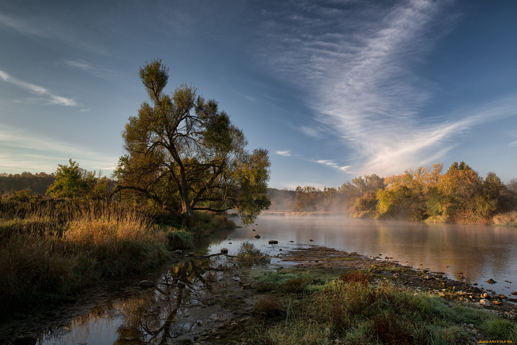 природа, реки, озера, река, лес