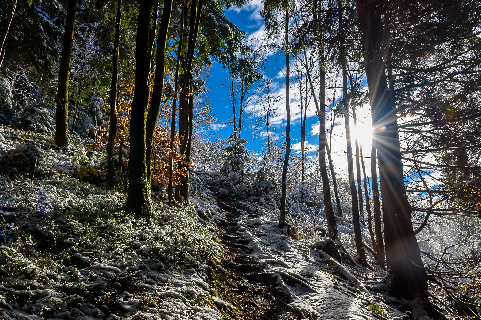 природа, зима, снег