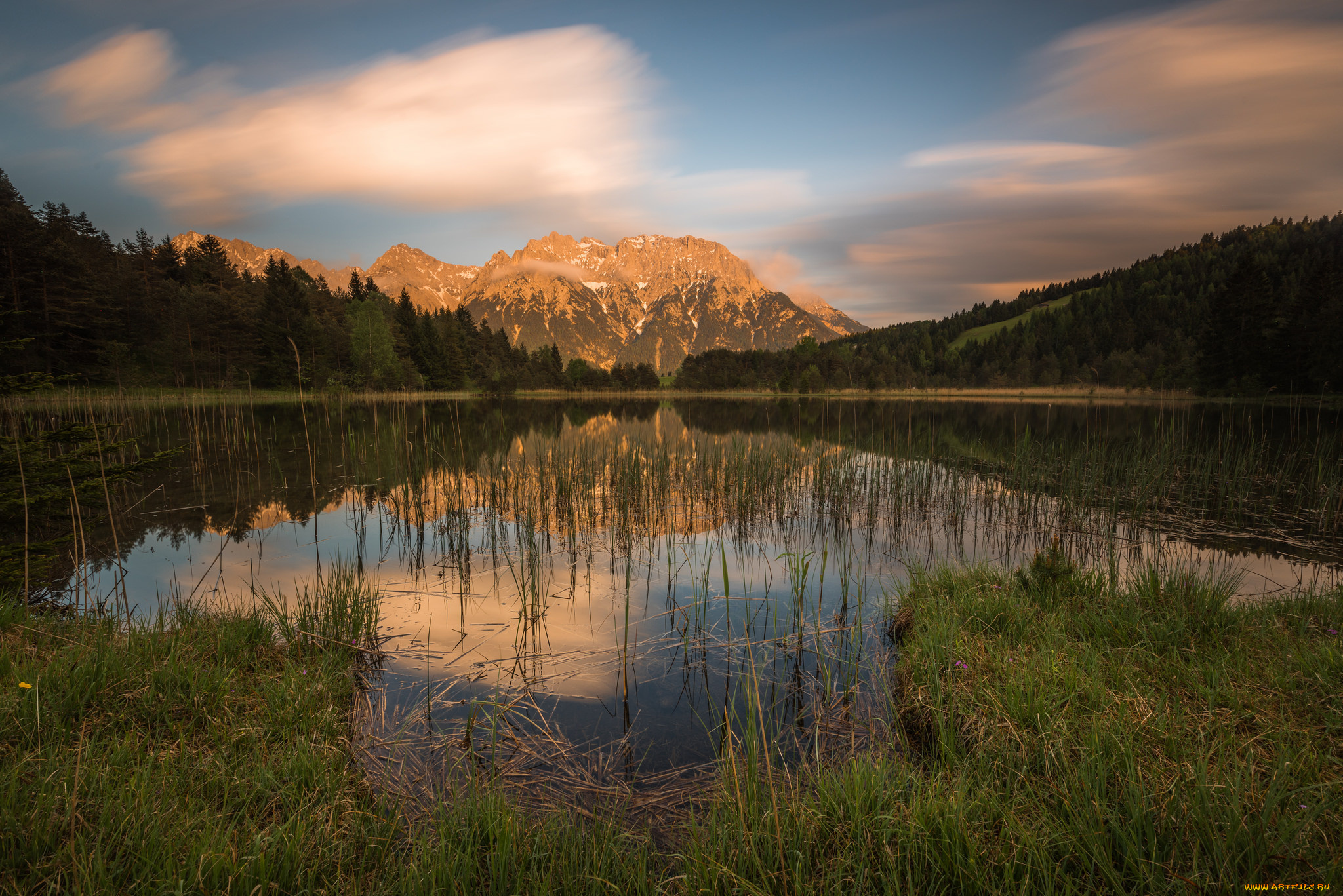 природа, реки, озера, лес, река