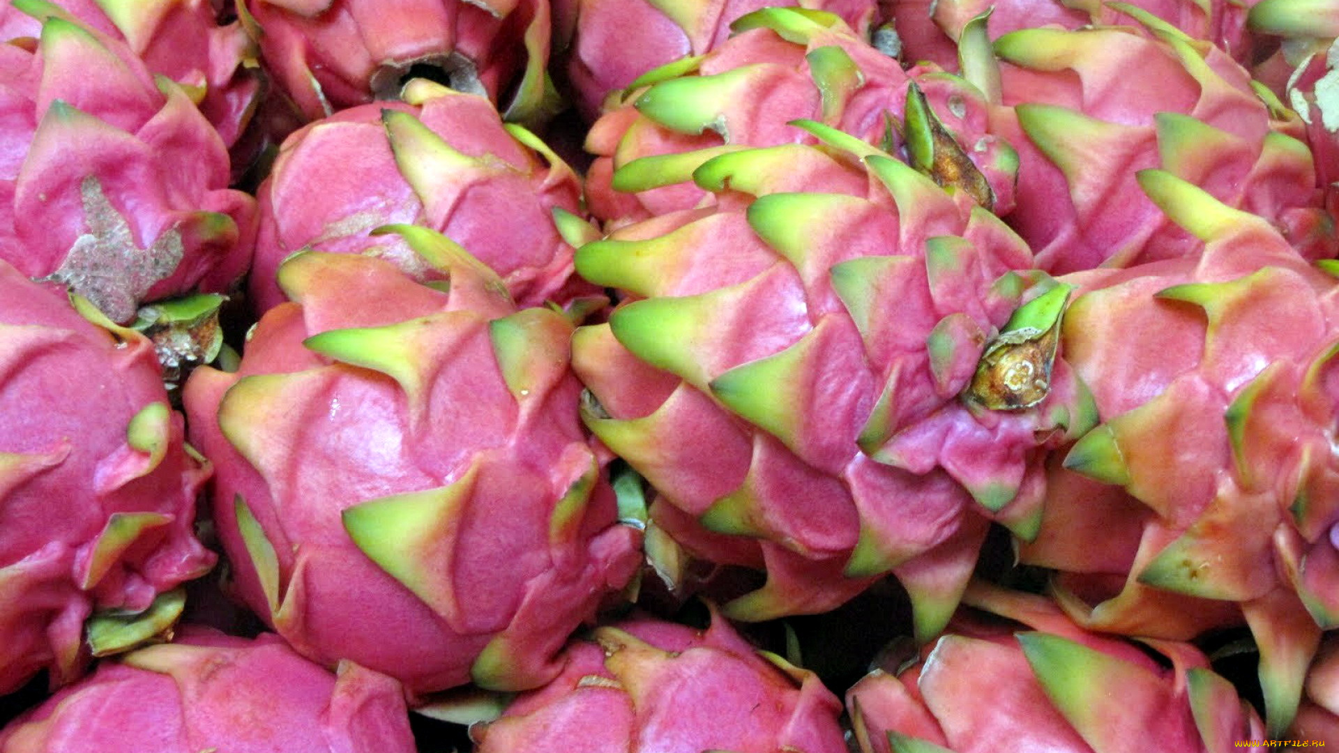 еда, питахайя, экзотический, фрукт