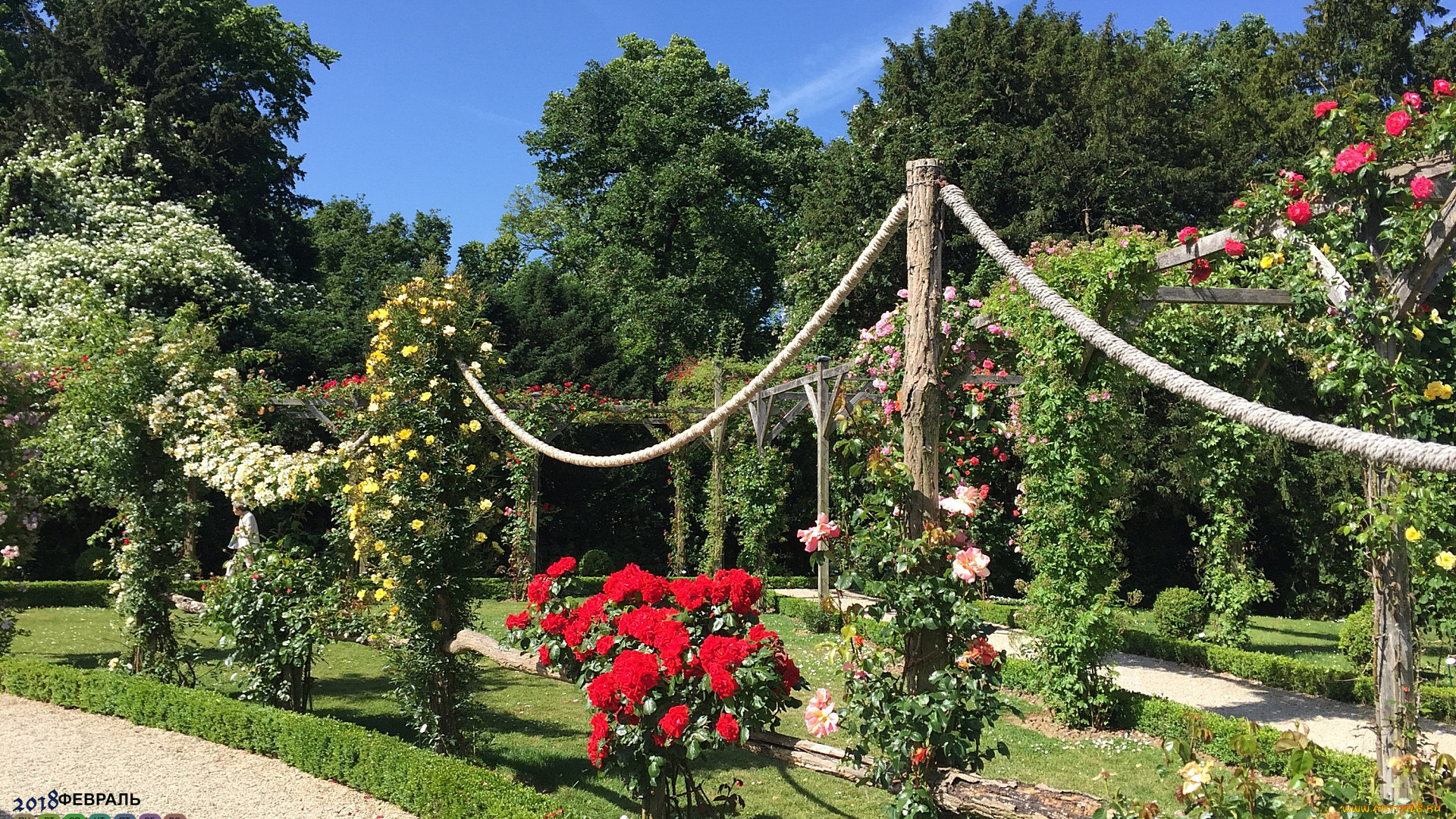 франция, календари, природа, растения, деревья, цветы, 2018