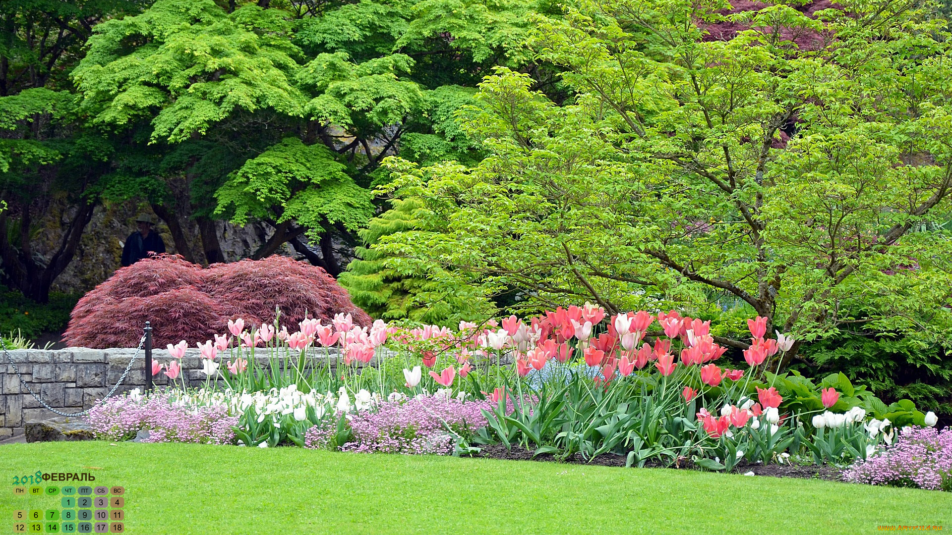 календари, цветы, деревья, тюльпан, 2018