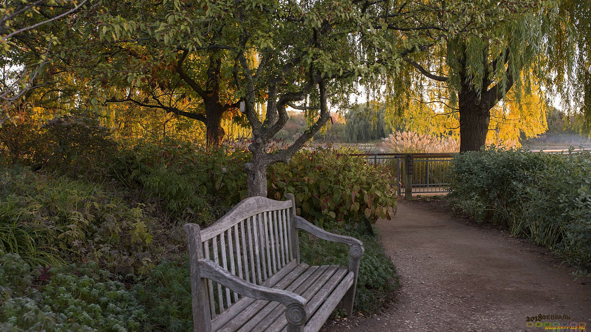 календари, природа, дорога, деревья, скамейка, 2018