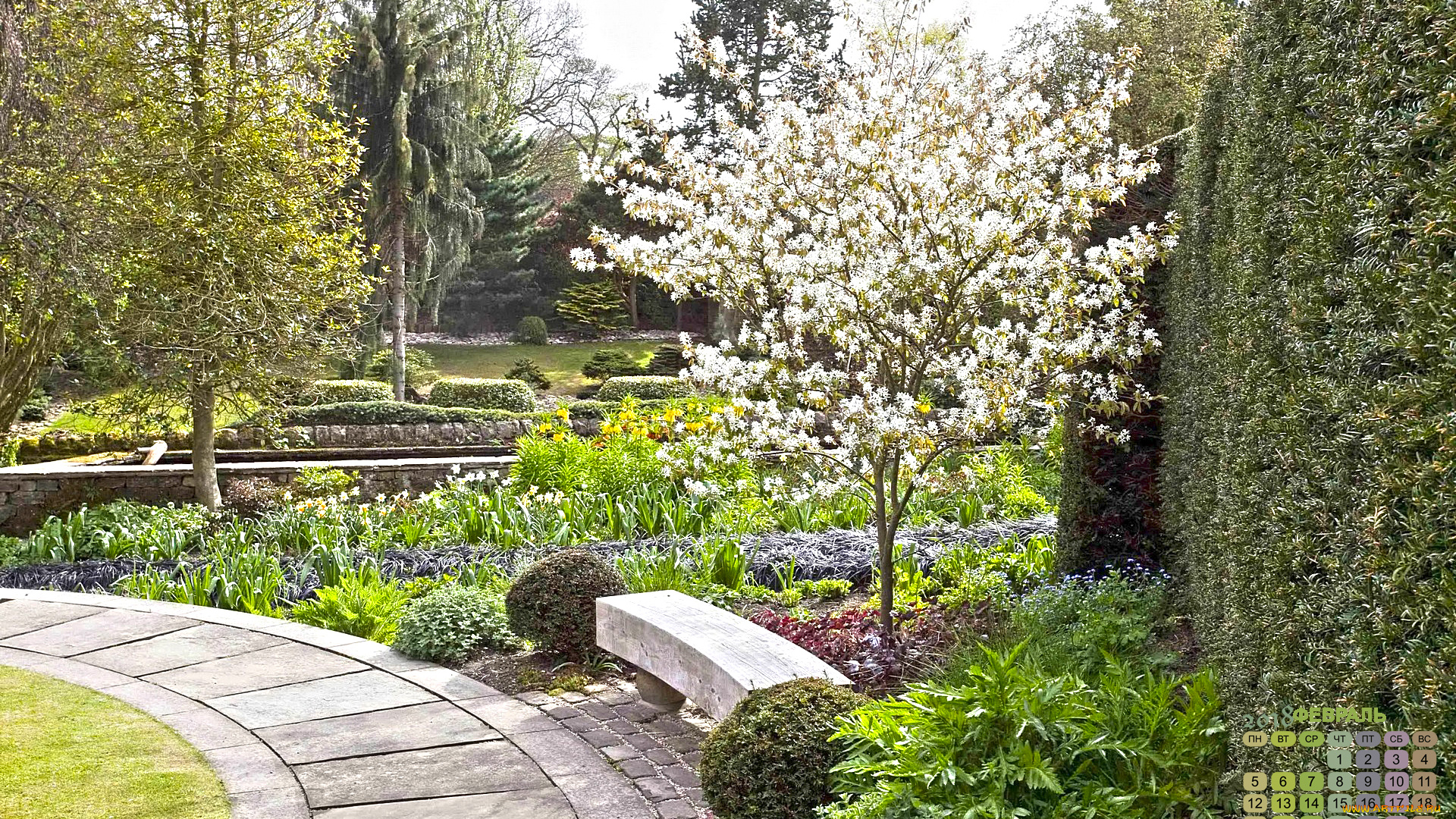 календари, природа, дорожка, скамейка, растения, 2018