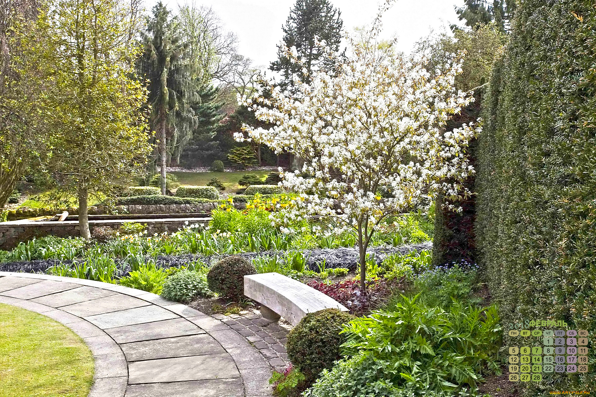 календари, природа, дорожка, скамейка, растения, 2018