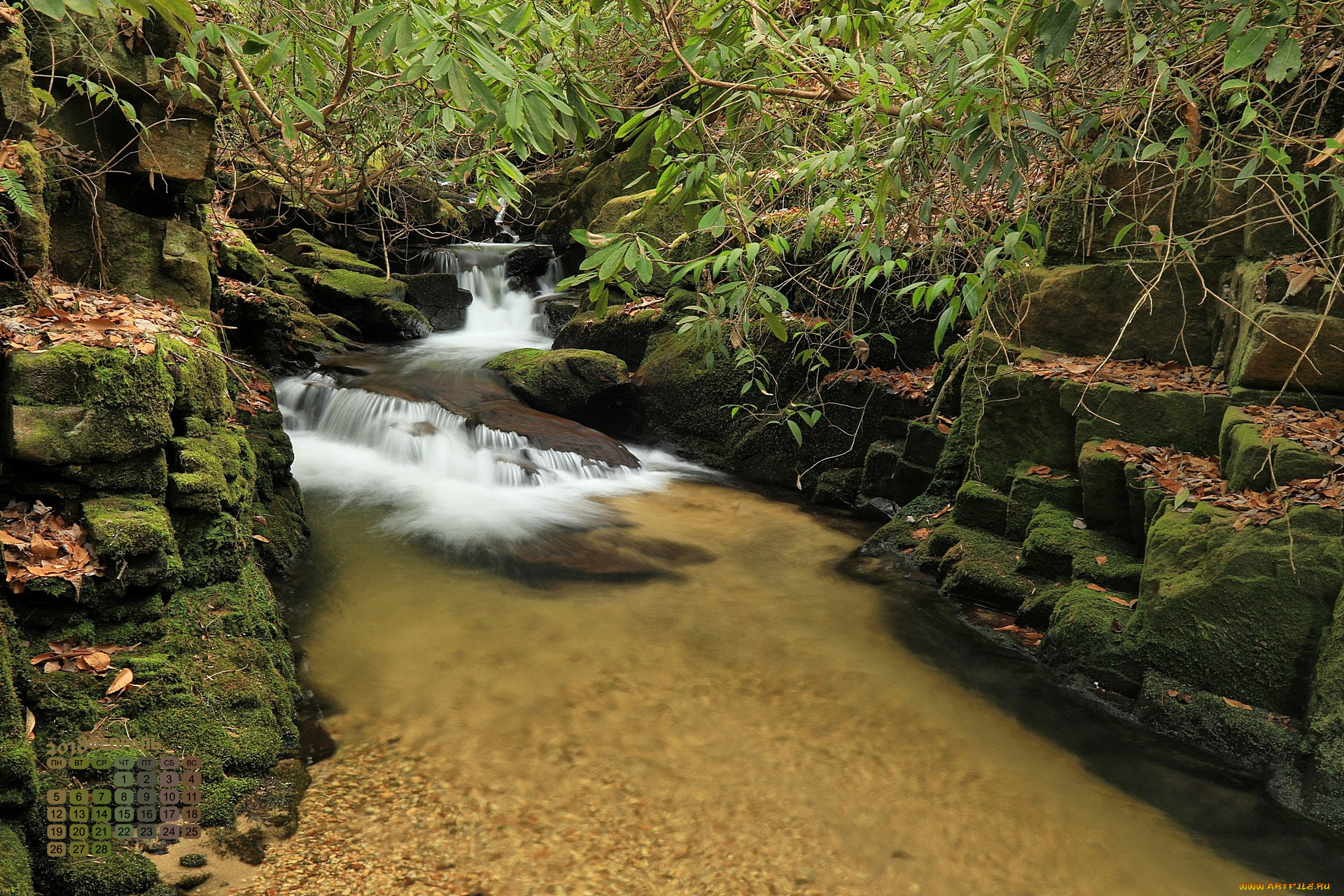 календари, природа, ветки, камни, водоем, 2018