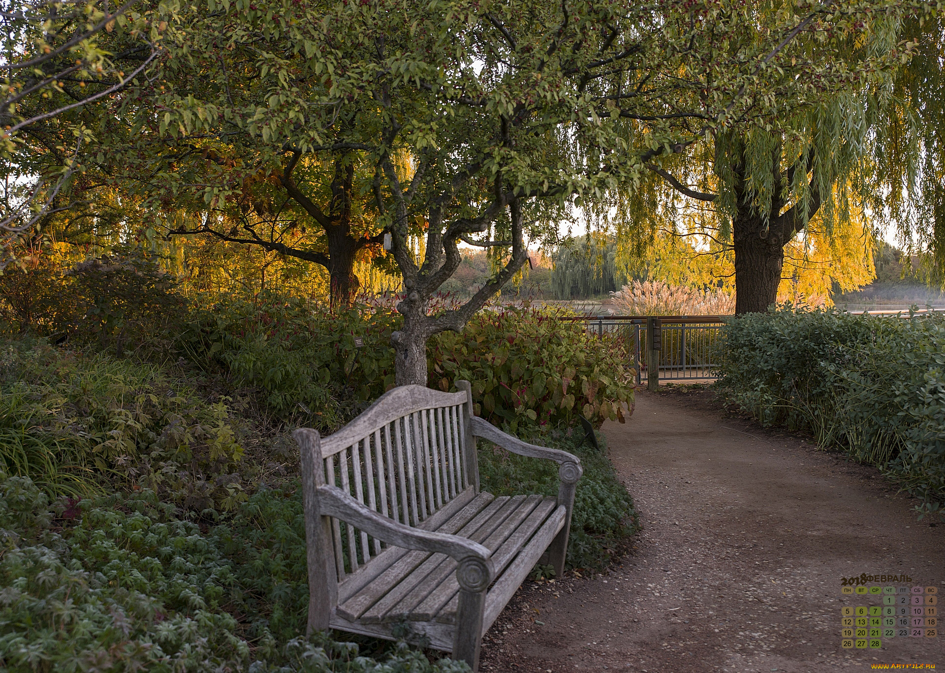 календари, природа, дорога, деревья, скамейка, 2018