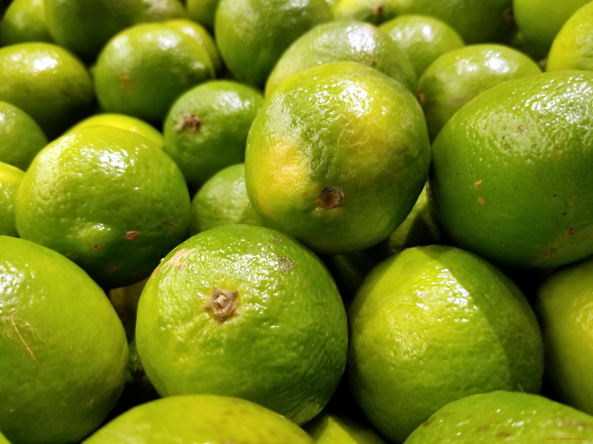 еда, цитрусы, лайм