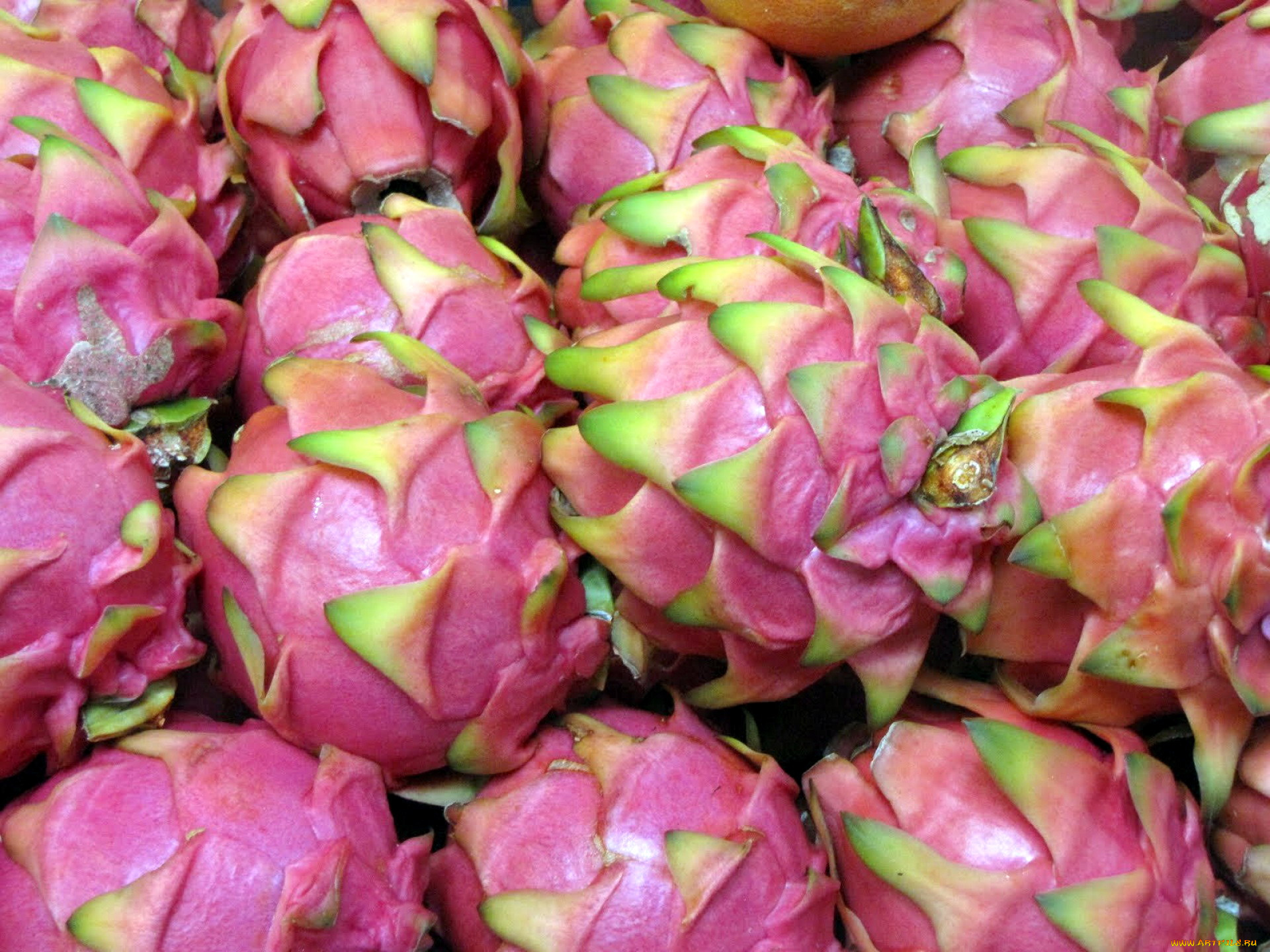 еда, питахайя, экзотический, фрукт