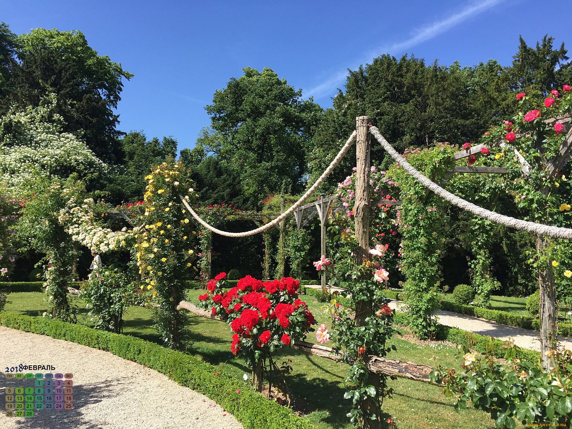 франция, календари, природа, растения, деревья, цветы, 2018