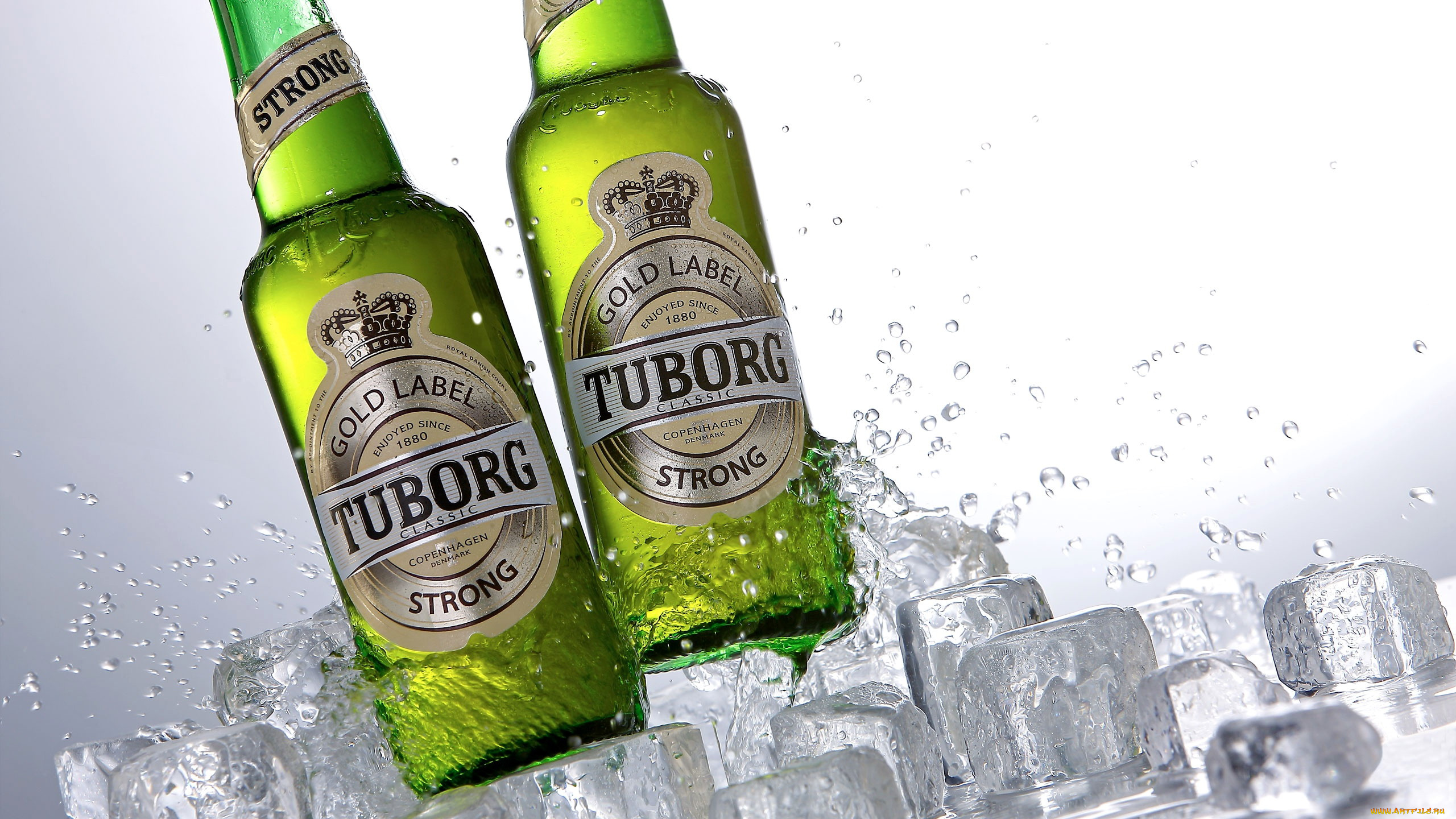 бренды, tuborg, пиво