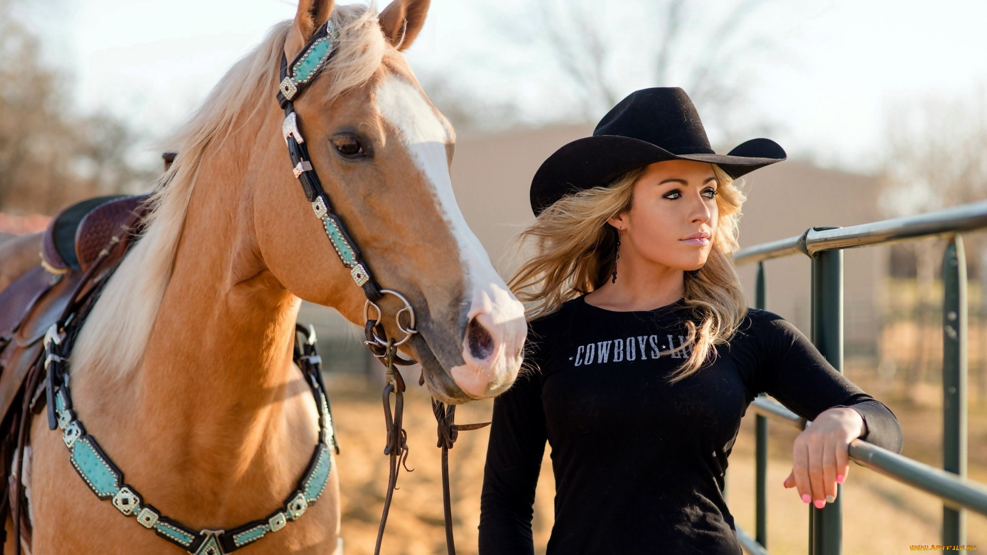 девушки, -, блондинки, , светловолосые, майка, шляпа, блондинка, лошадь