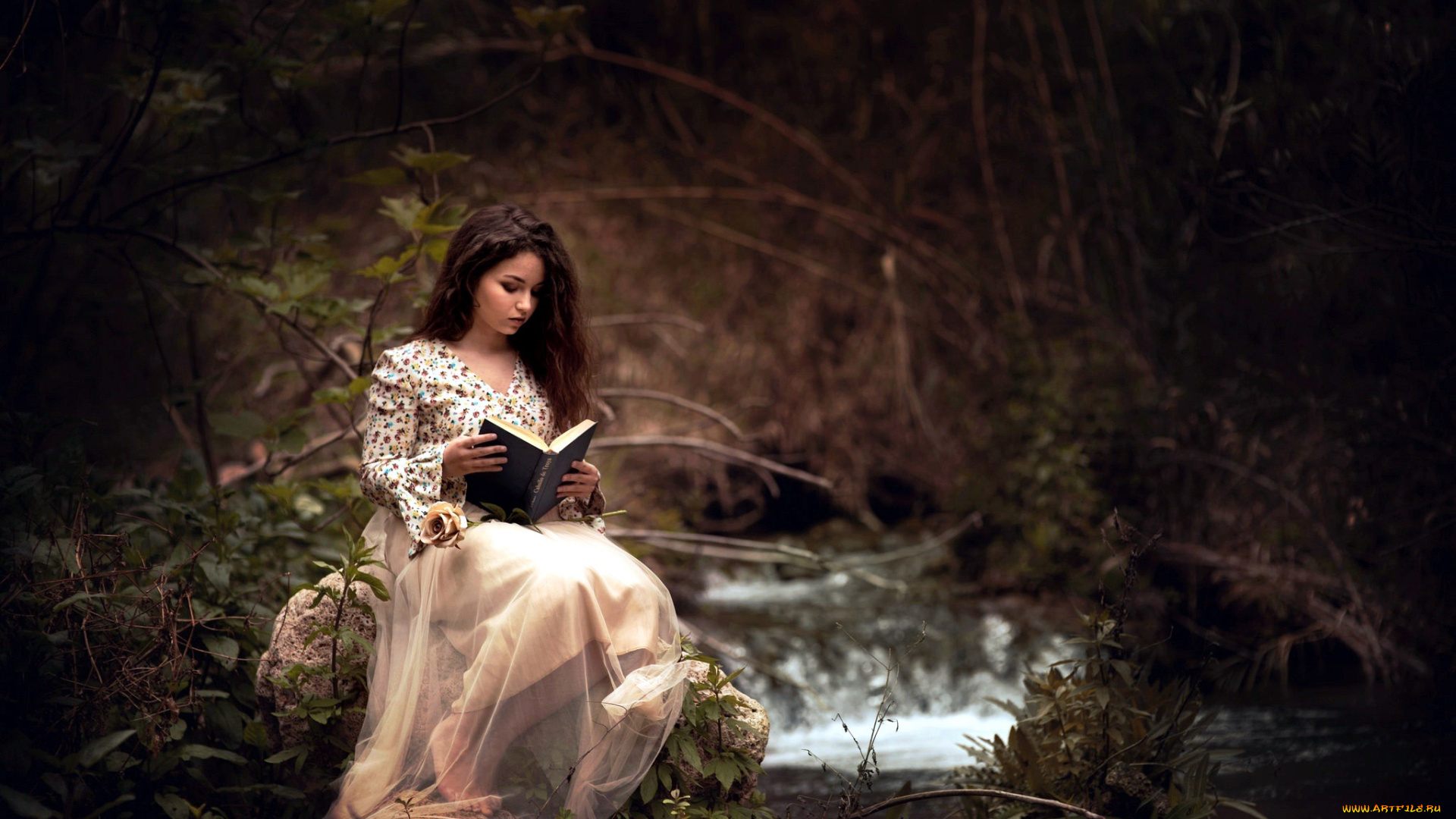 девушки, -, брюнетки, , шатенки, лес, брюнетка, юбка, блуза, книга