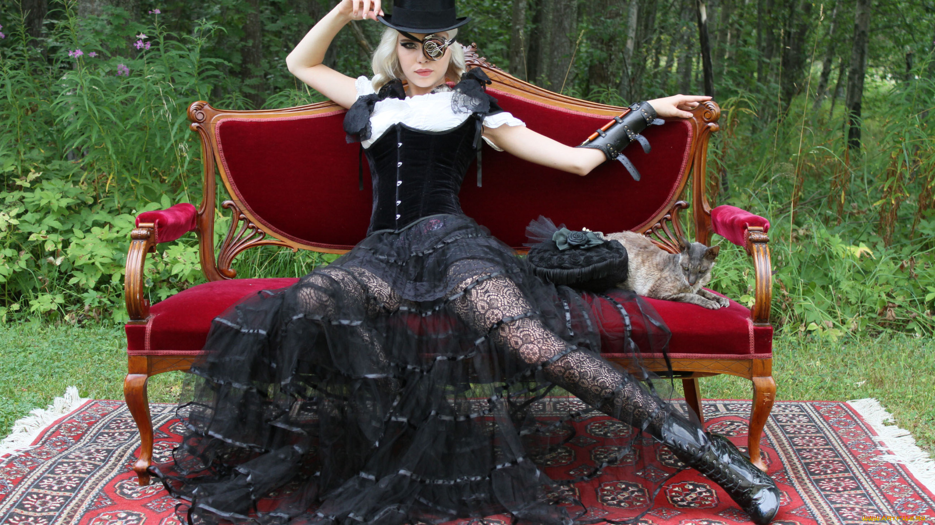 девушки, miranda, hedman, девушка, фон, взгляд, платье, диван, кошка, miranda, hedman