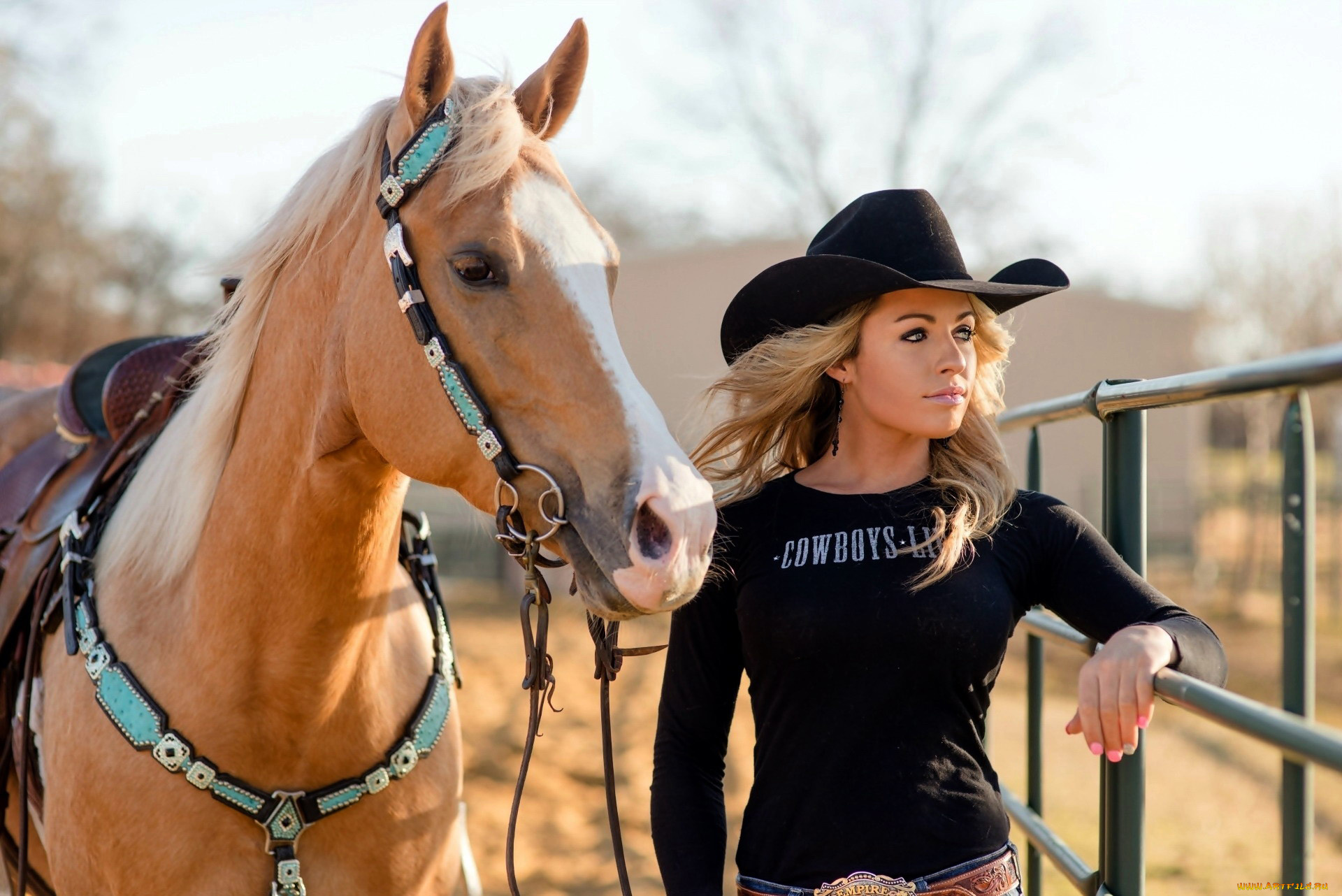 девушки, -, блондинки, , светловолосые, майка, шляпа, блондинка, лошадь