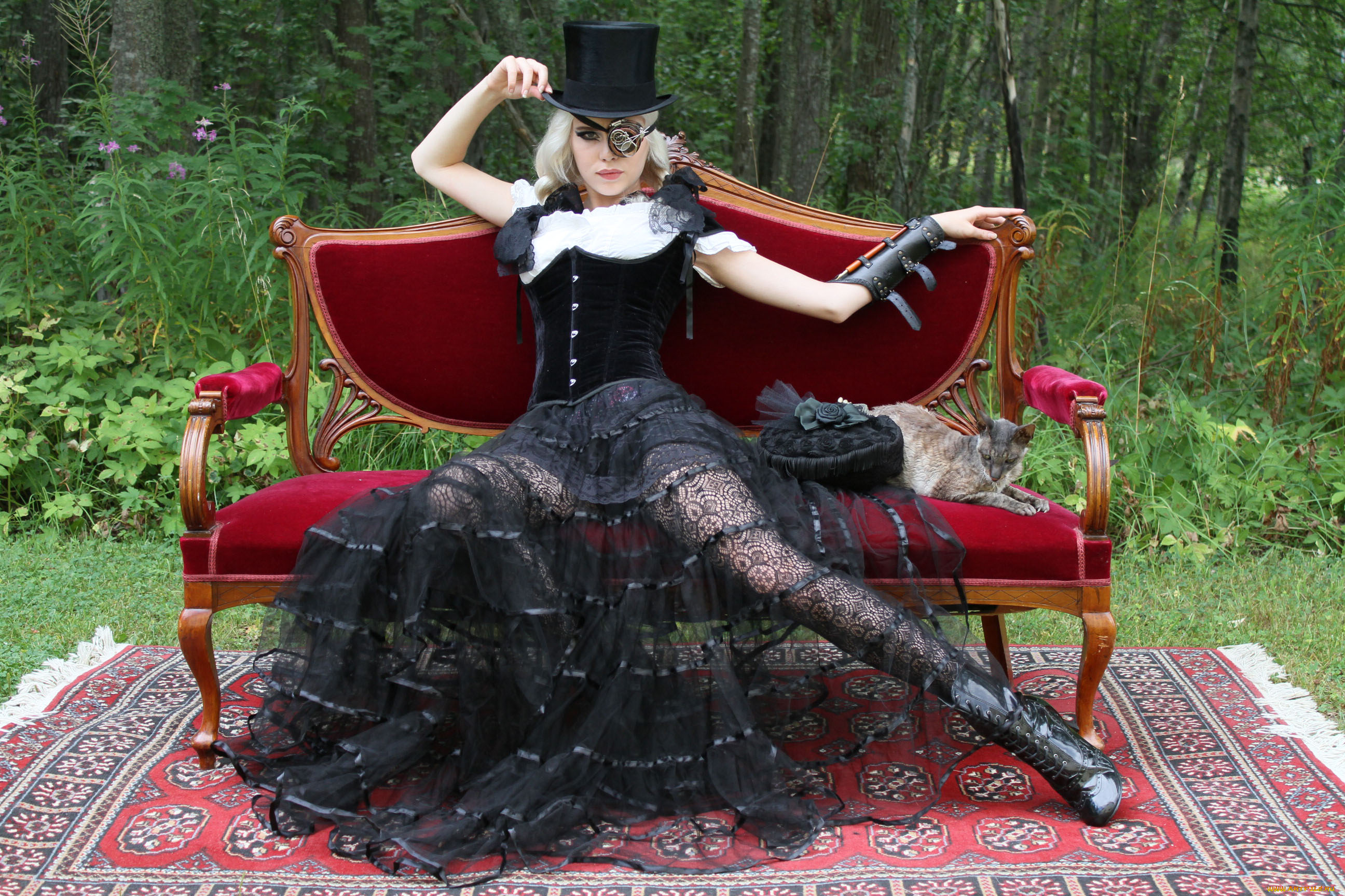 девушки, miranda, hedman, девушка, фон, взгляд, платье, диван, кошка, miranda, hedman