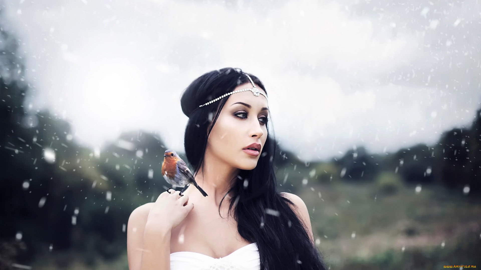 девушки, -, креатив, , косплей, брюнетка, снег, птица