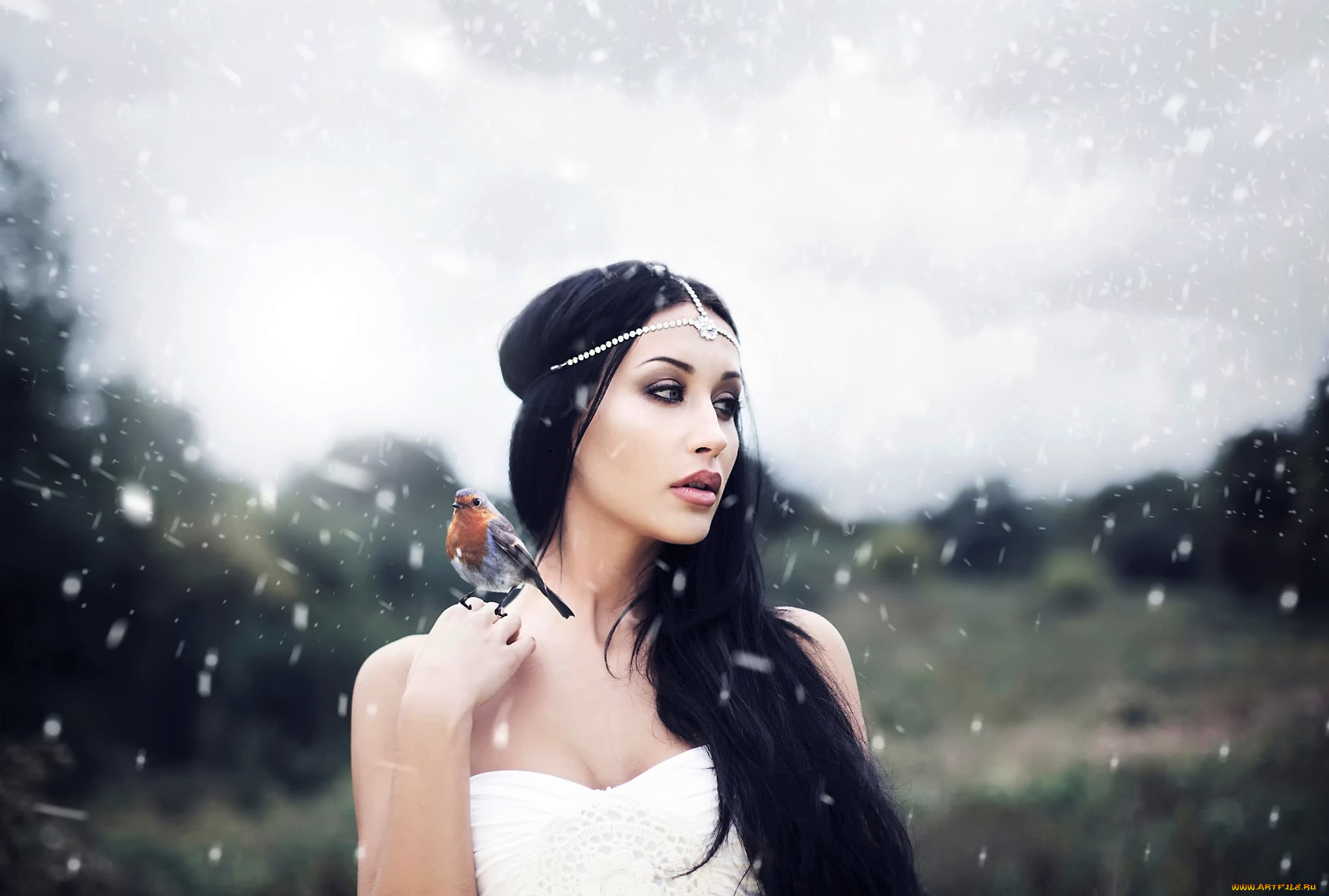 девушки, -, креатив, , косплей, брюнетка, снег, птица