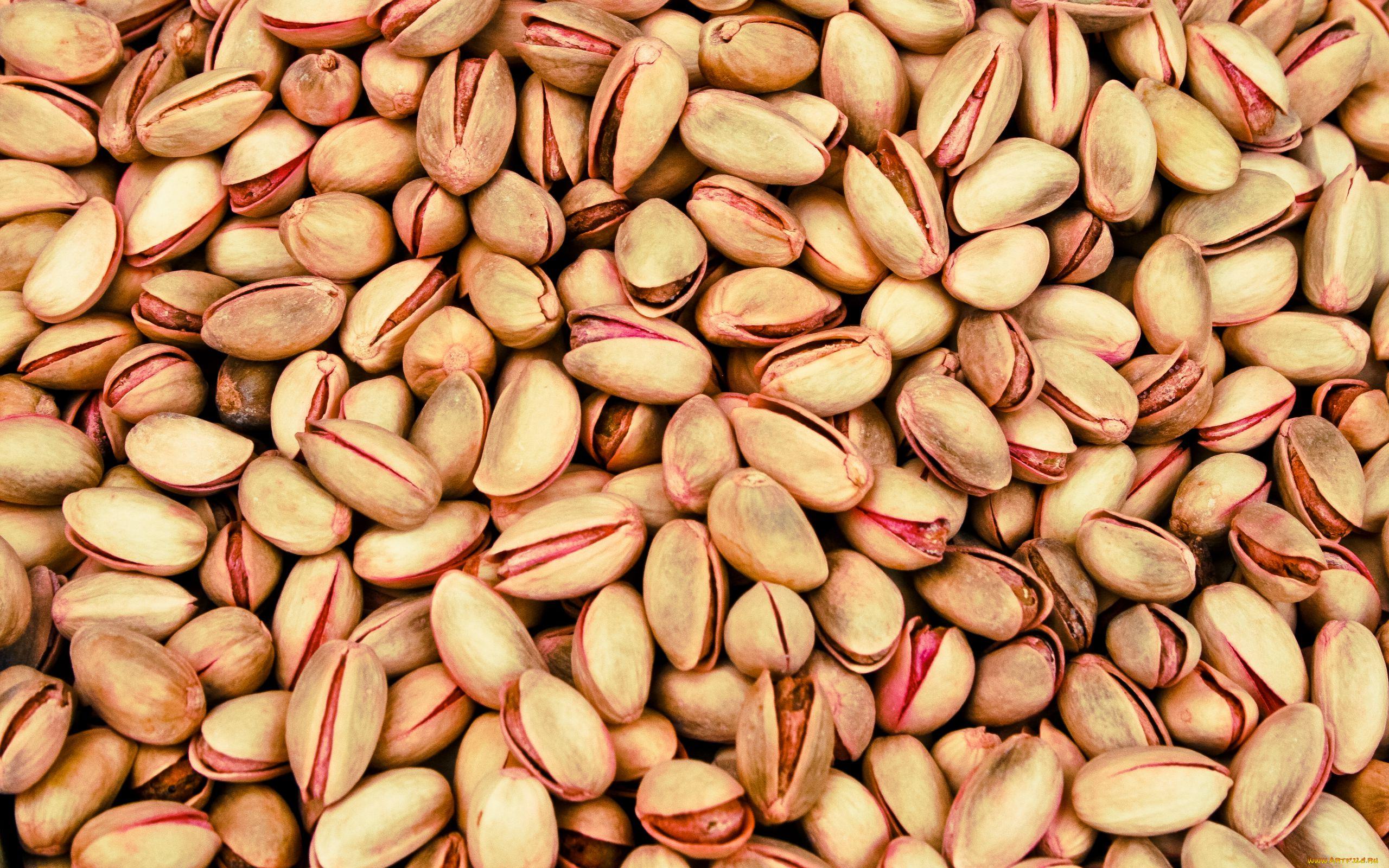 еда, орехи, , каштаны, , какао-бобы, фисташки