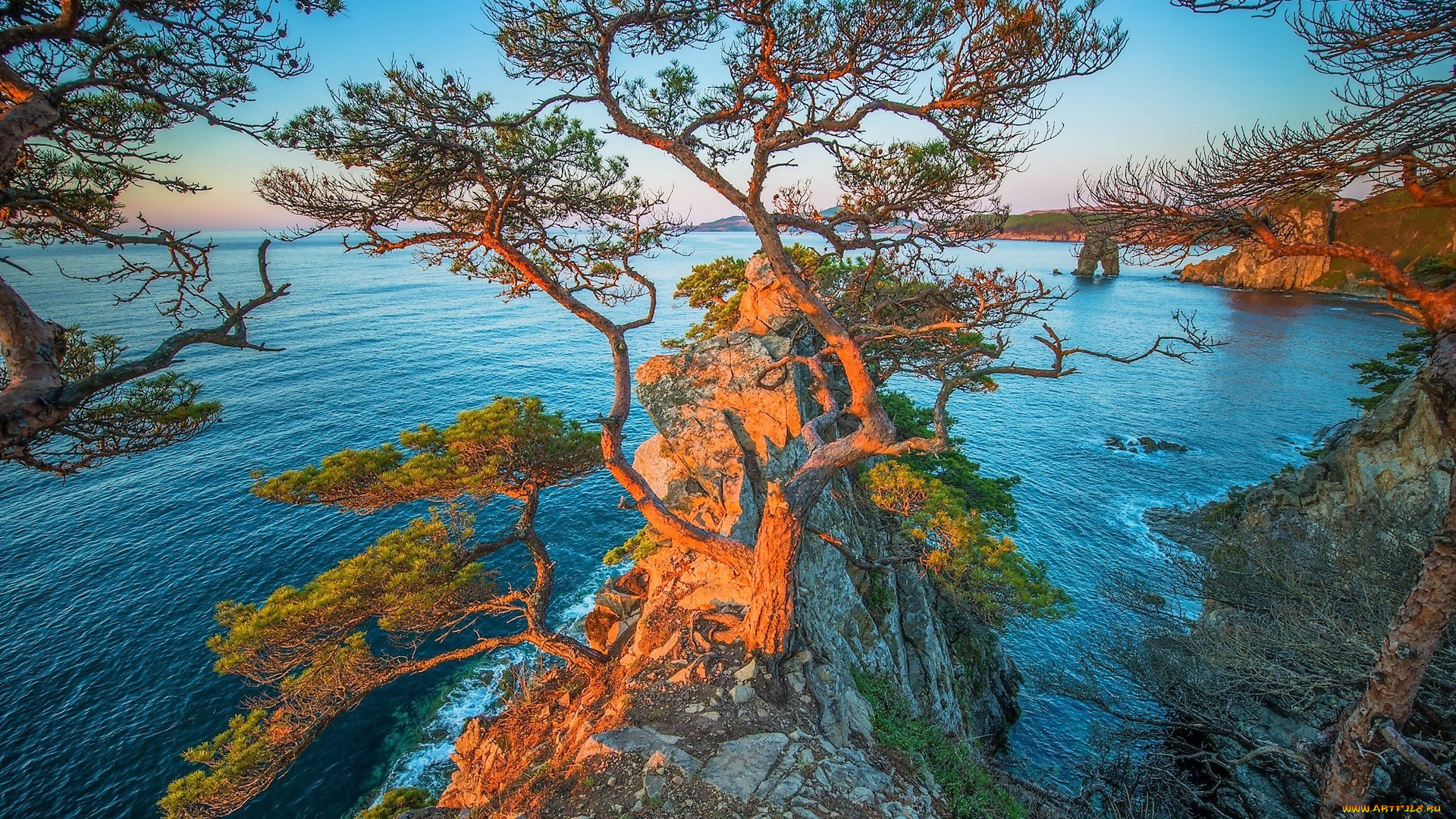 природа, побережье, gamov, peninsula, russia, мыс, гамова, россия, дальний, восток, приморье, японское, море