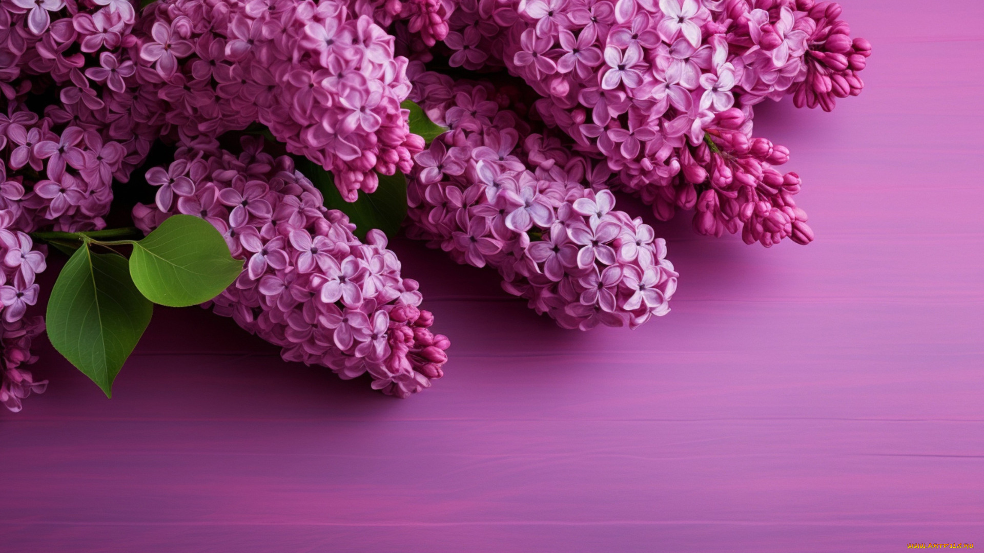 3д, графика, цветы, , flowers, цветы, букет, весна, цветение, сирень, соцветия, цветущая, сиреневый, фон