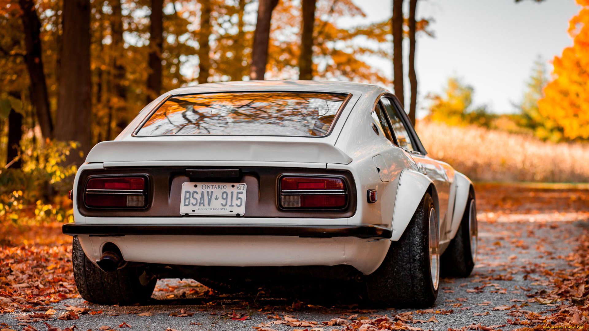 автомобили, nissan, datsun