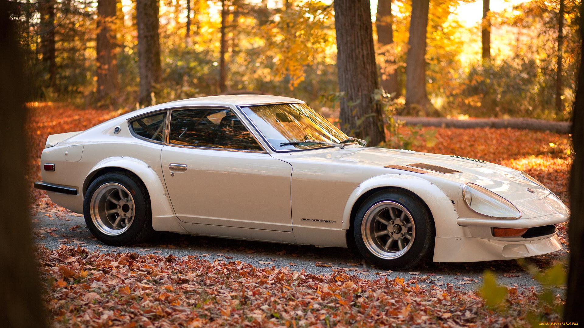 автомобили, nissan, datsun