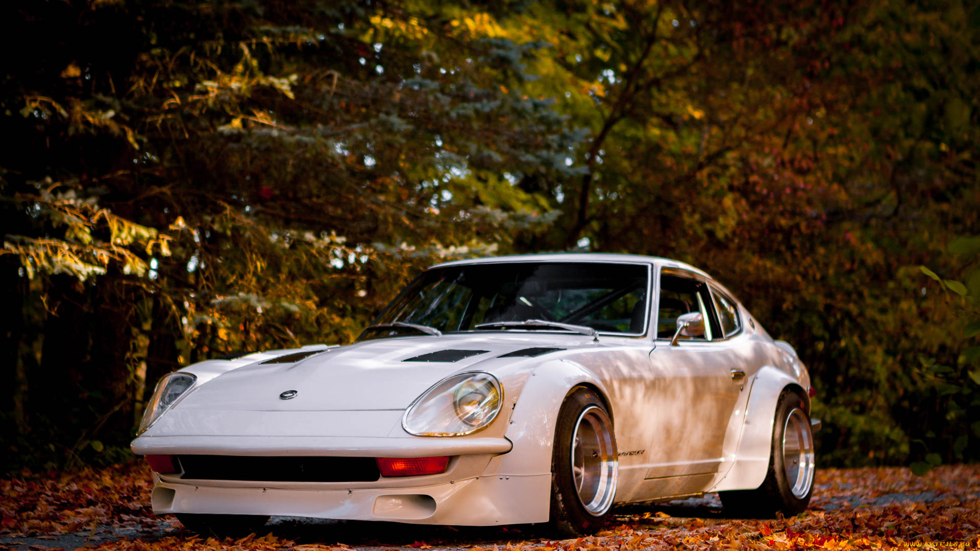 автомобили, nissan, datsun