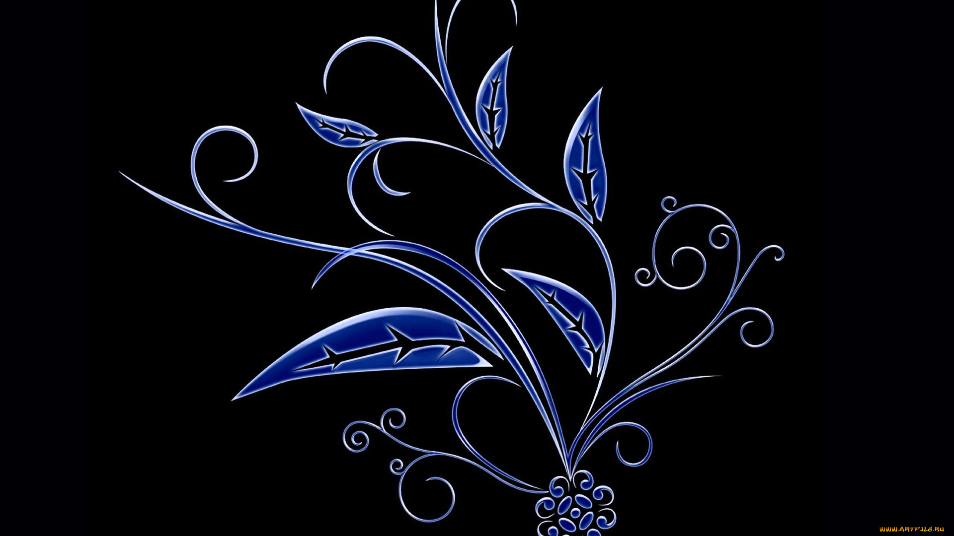 векторная, графика, цветы, , flowers, растение