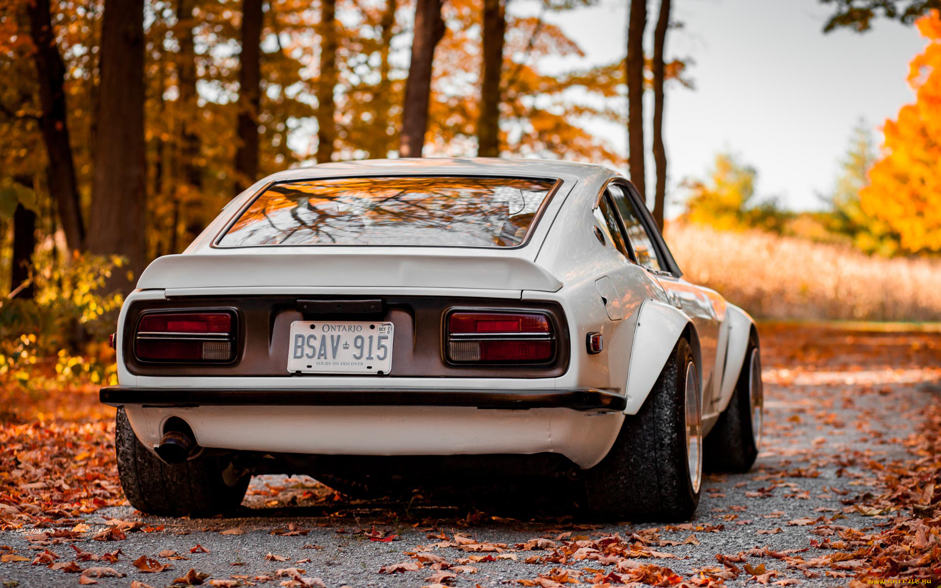 автомобили, nissan, datsun