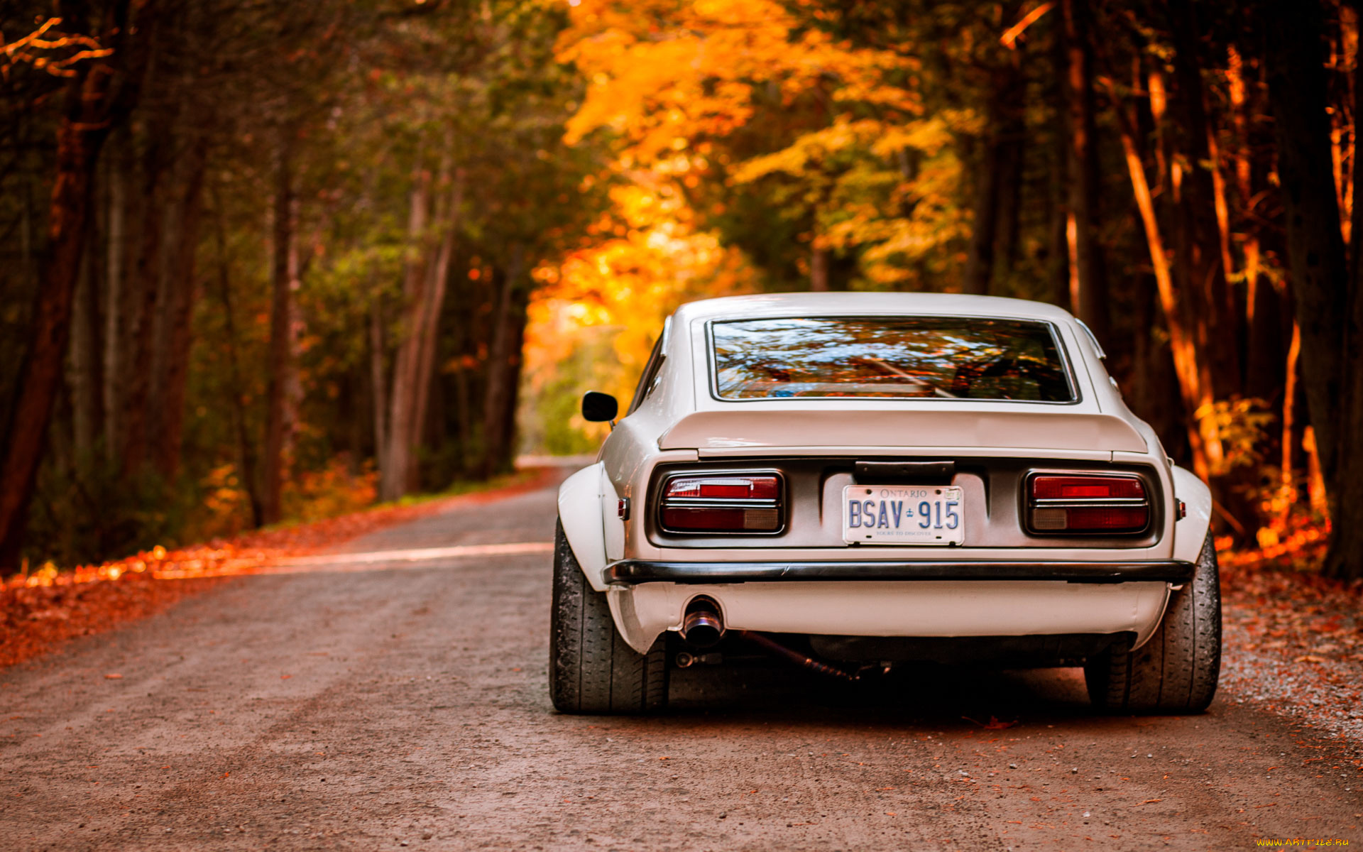 автомобили, nissan, datsun