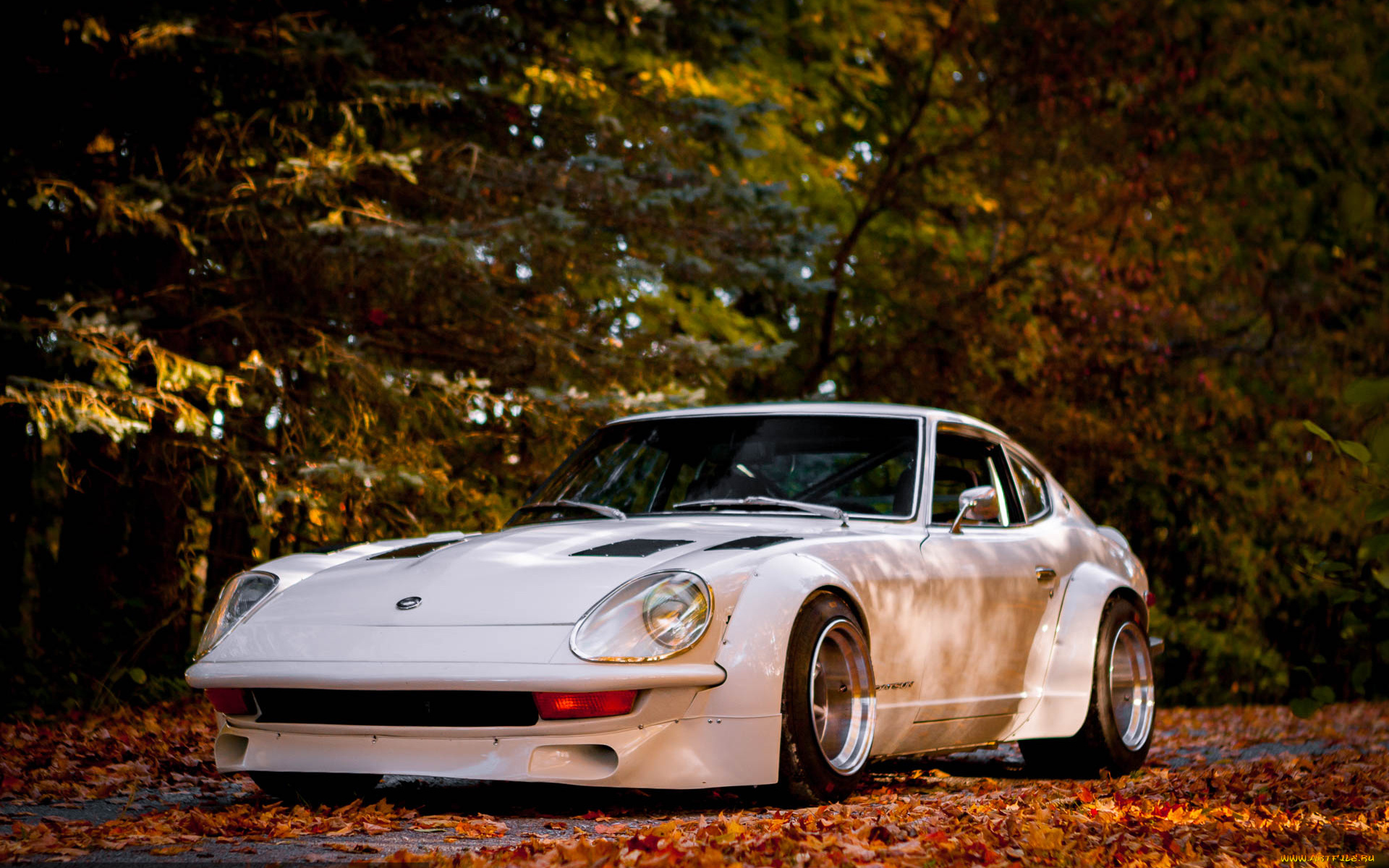 автомобили, nissan, datsun