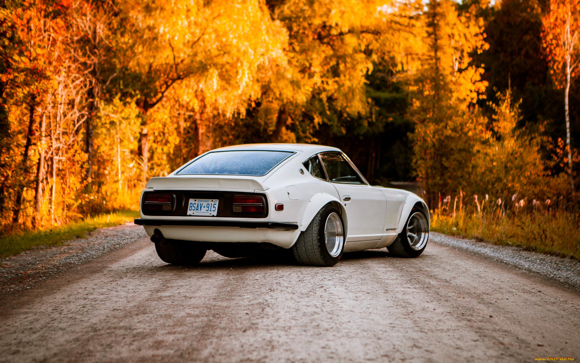 автомобили, nissan, datsun