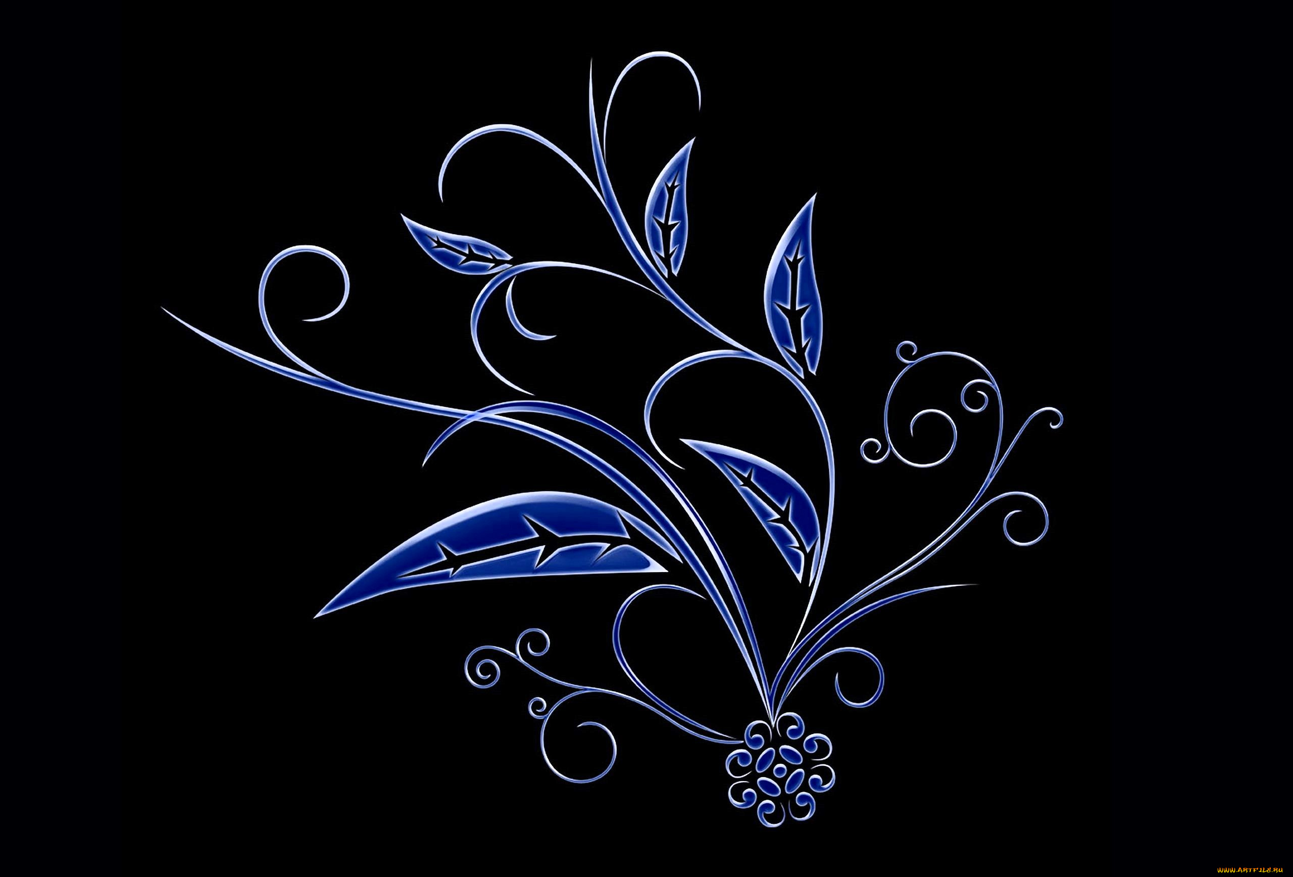 векторная, графика, цветы, , flowers, растение