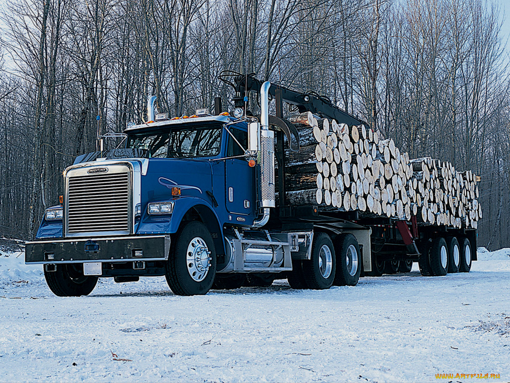 автомобили, freightliner