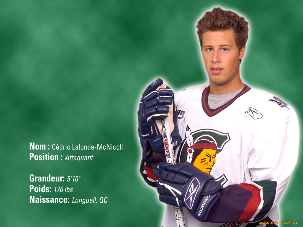 спорт, хоккей