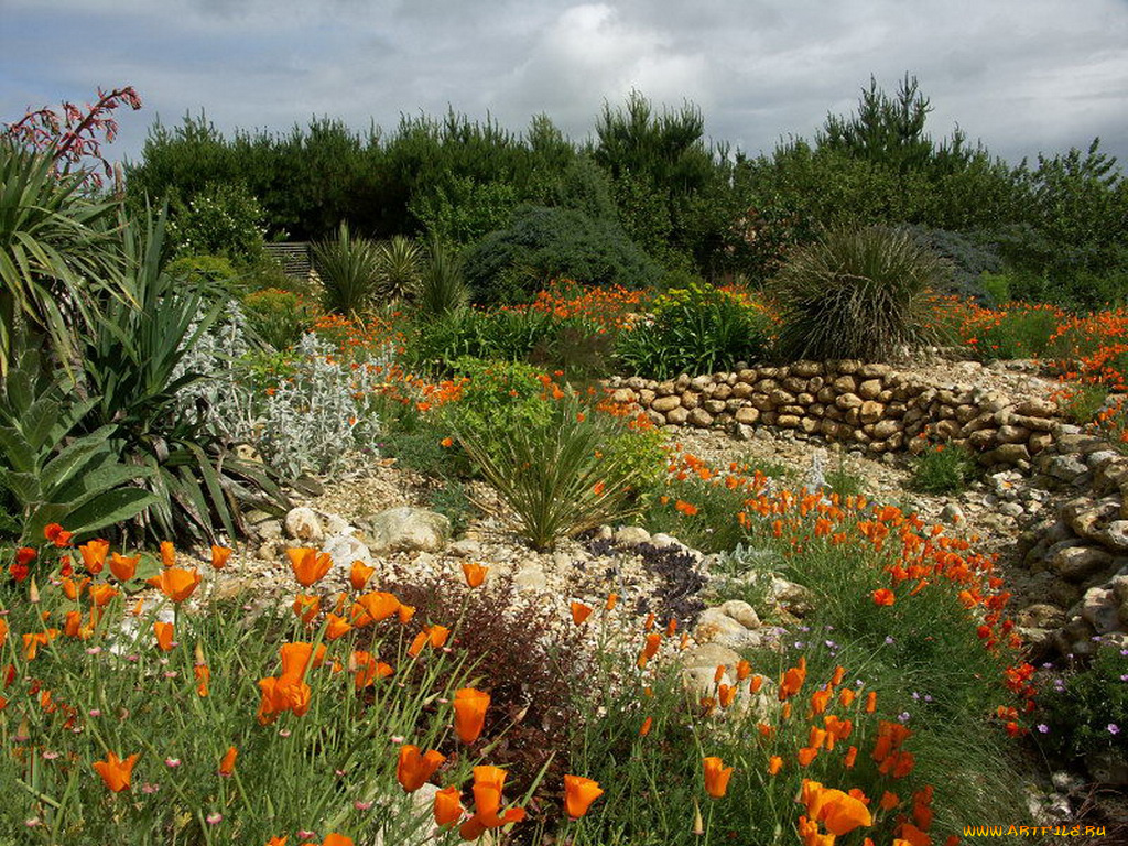 цветы, разные, вместе