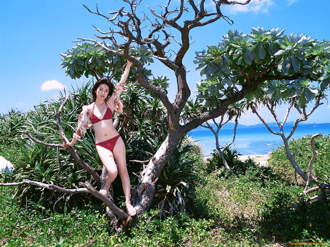 Saki, Seto, девушки