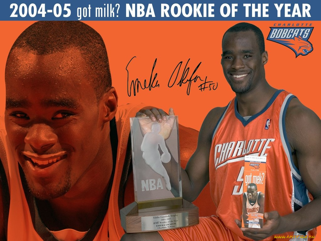 спорт, баскетбол