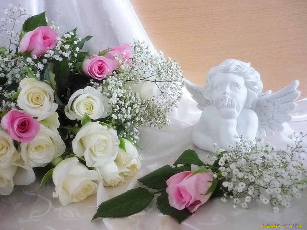 цветы, розы