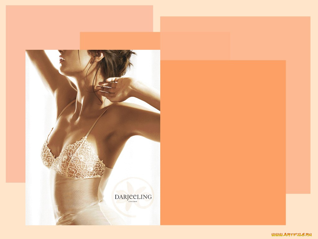 darjeeling, бренды