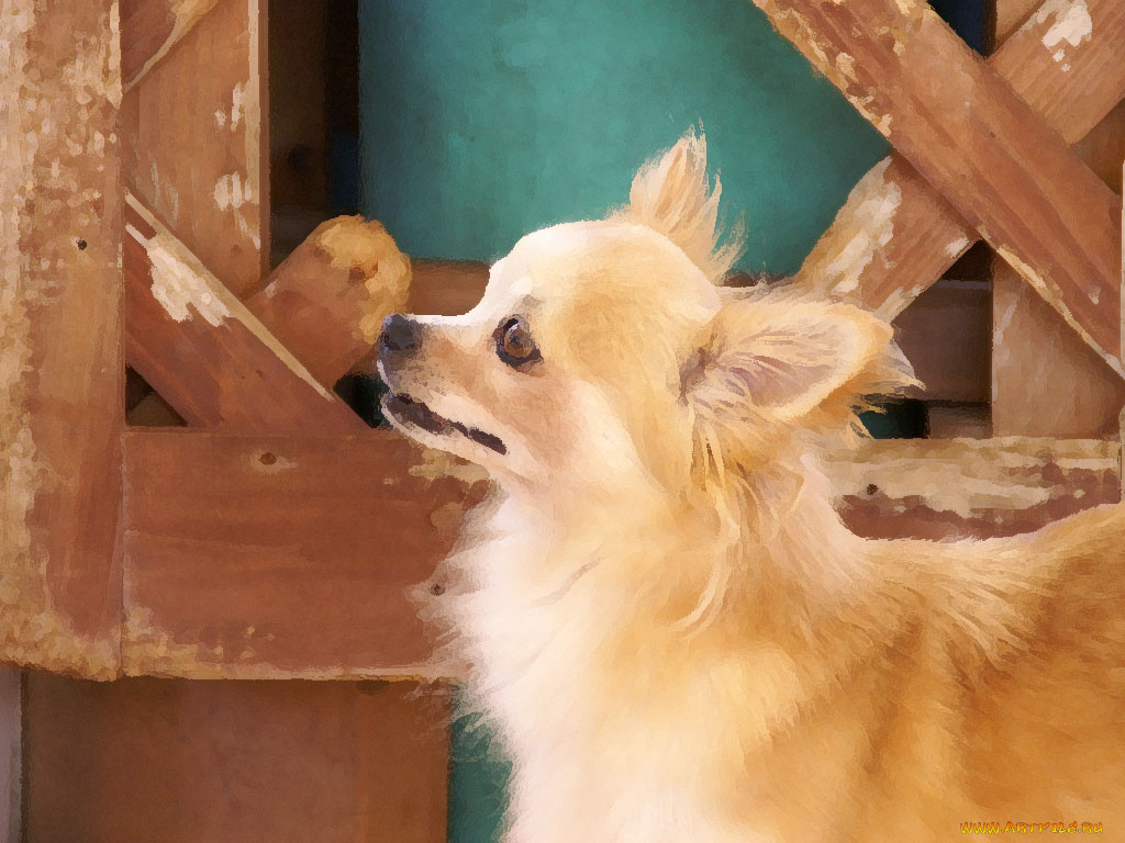 рисованные, животные