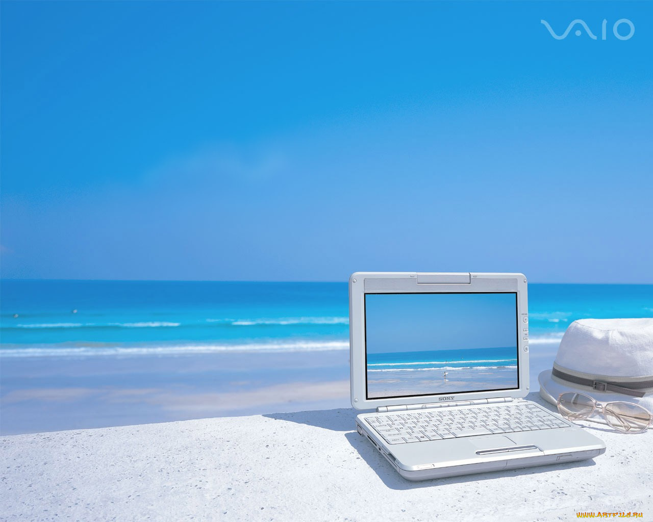 компьютеры, мониторы, ноутбуки