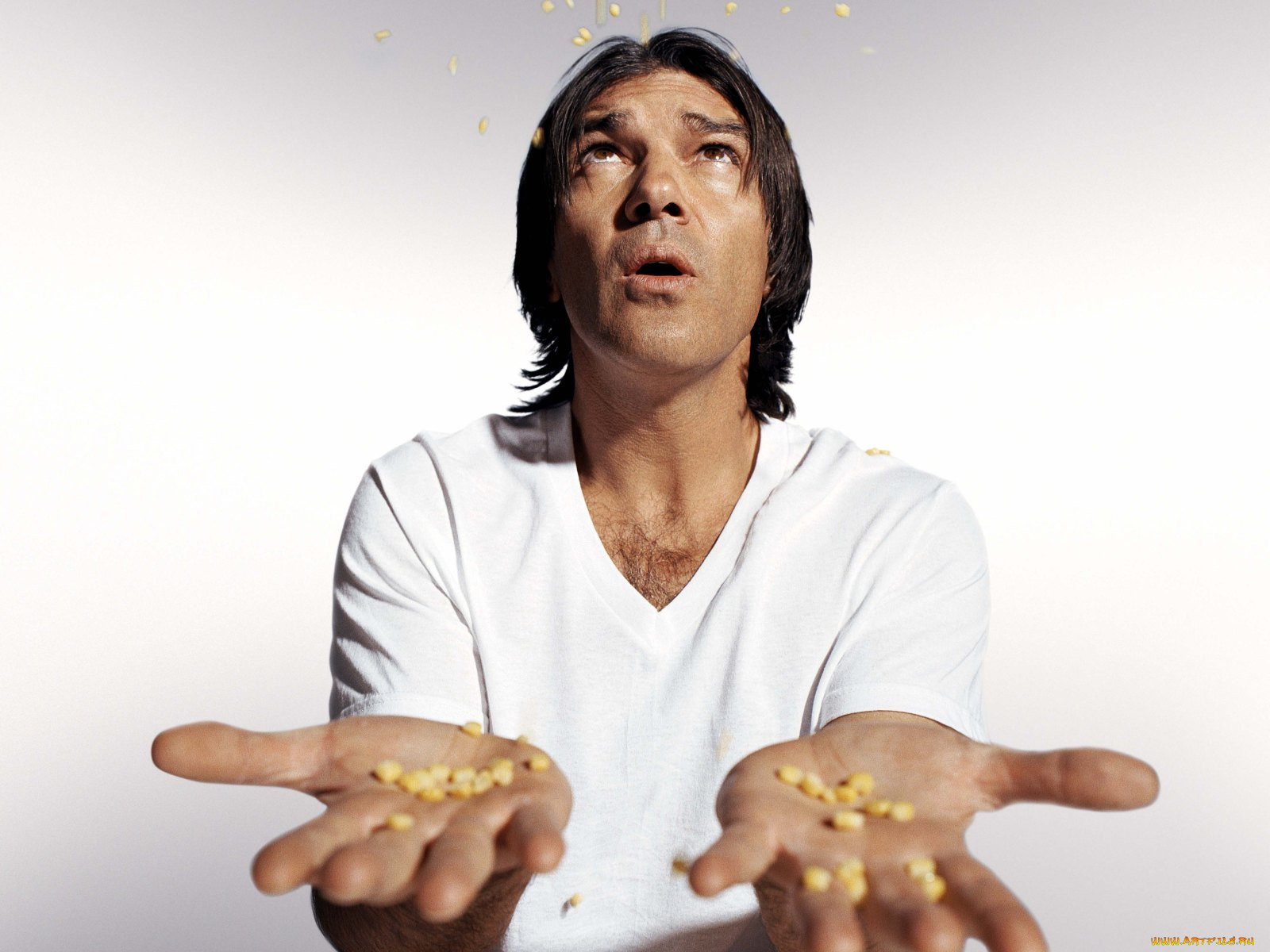 antonio, banderas, мужчины