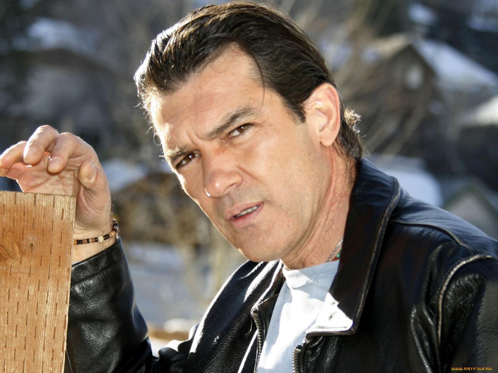 antonio, banderas, мужчины